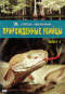 Подробней...